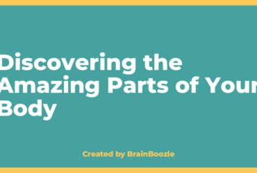 Discovering the Amazing Parts of Your Body - Created by BrainBoozle Discovering the Amazing Parts of Your Body - BrainBoozle Educational Resource