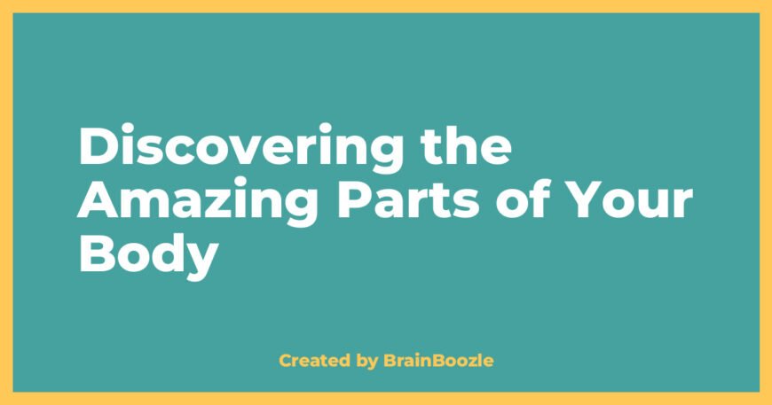 Discovering the Amazing Parts of Your Body - BrainBoozle Educational Resource