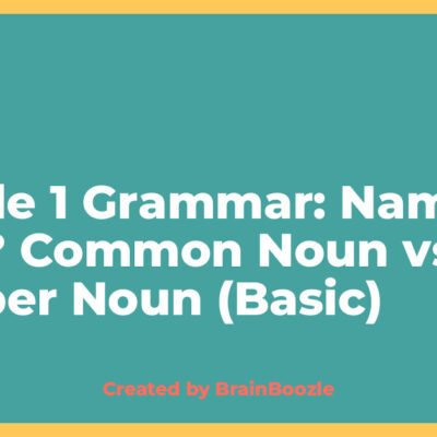 Grade 1 Grammar: Name or Not? Common Noun vs. Proper Noun (Basic) - Created by BrainBoozle