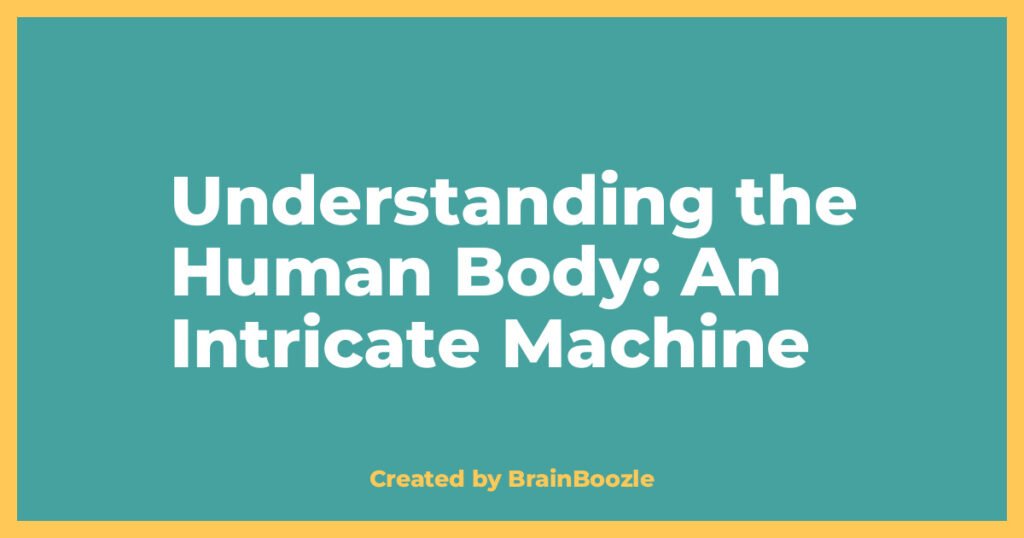 Understanding the Human Body: An Intricate Machine