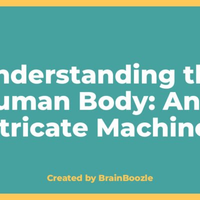 Understanding the Human Body: An Intricate Machine - BrainBoozle Educational Resource