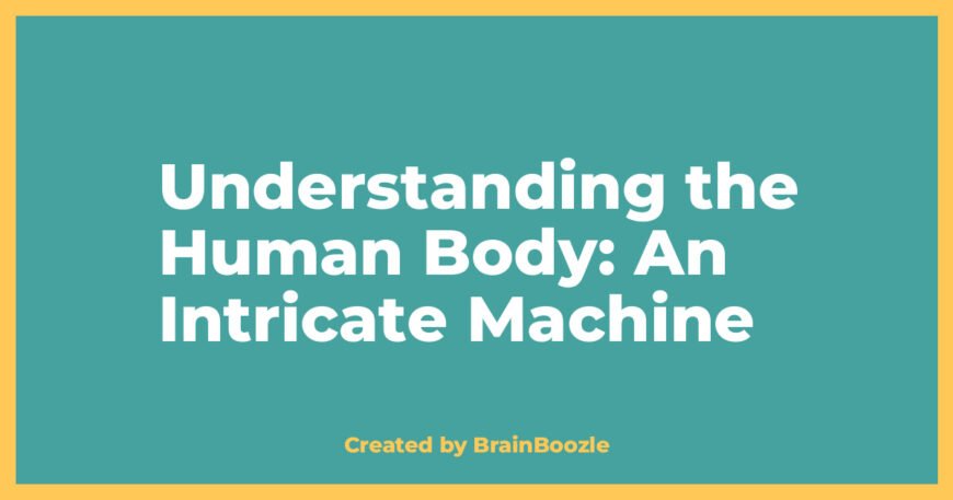 Understanding the Human Body: An Intricate Machine - BrainBoozle Educational Resource