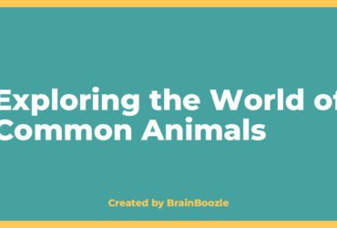 Exploring the World of Common Animals - Created by BrainBoozle Exploring the World of Common Animals - BrainBoozle Educational Resource
